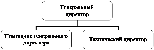  организационная структура предприятия 1