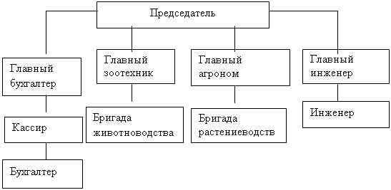 Организационно правовая форма сельскохозяйственный производственный кооператив  1