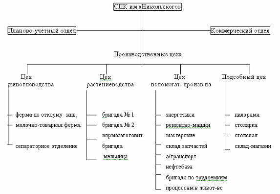  организационная и управленческая структура предприятия 1