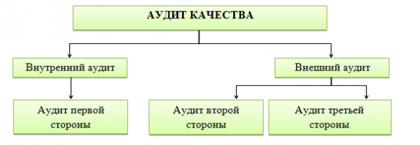  понятие и виды аудита качества 1