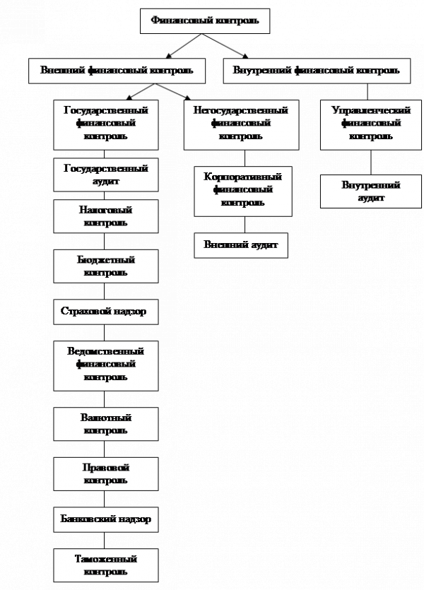 Финансовый контроль сущность и виды 2