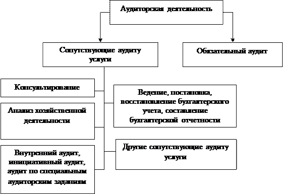  понятие аудиторской деятельности 1