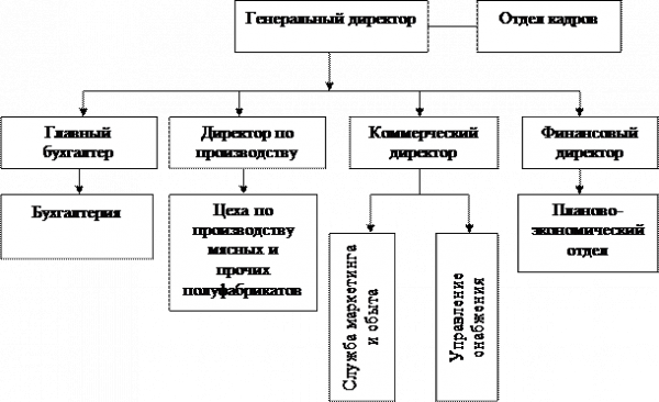  организационно экономическая характеристика ооо красноармейский  1